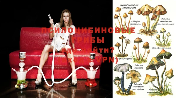 mdpv Балахна